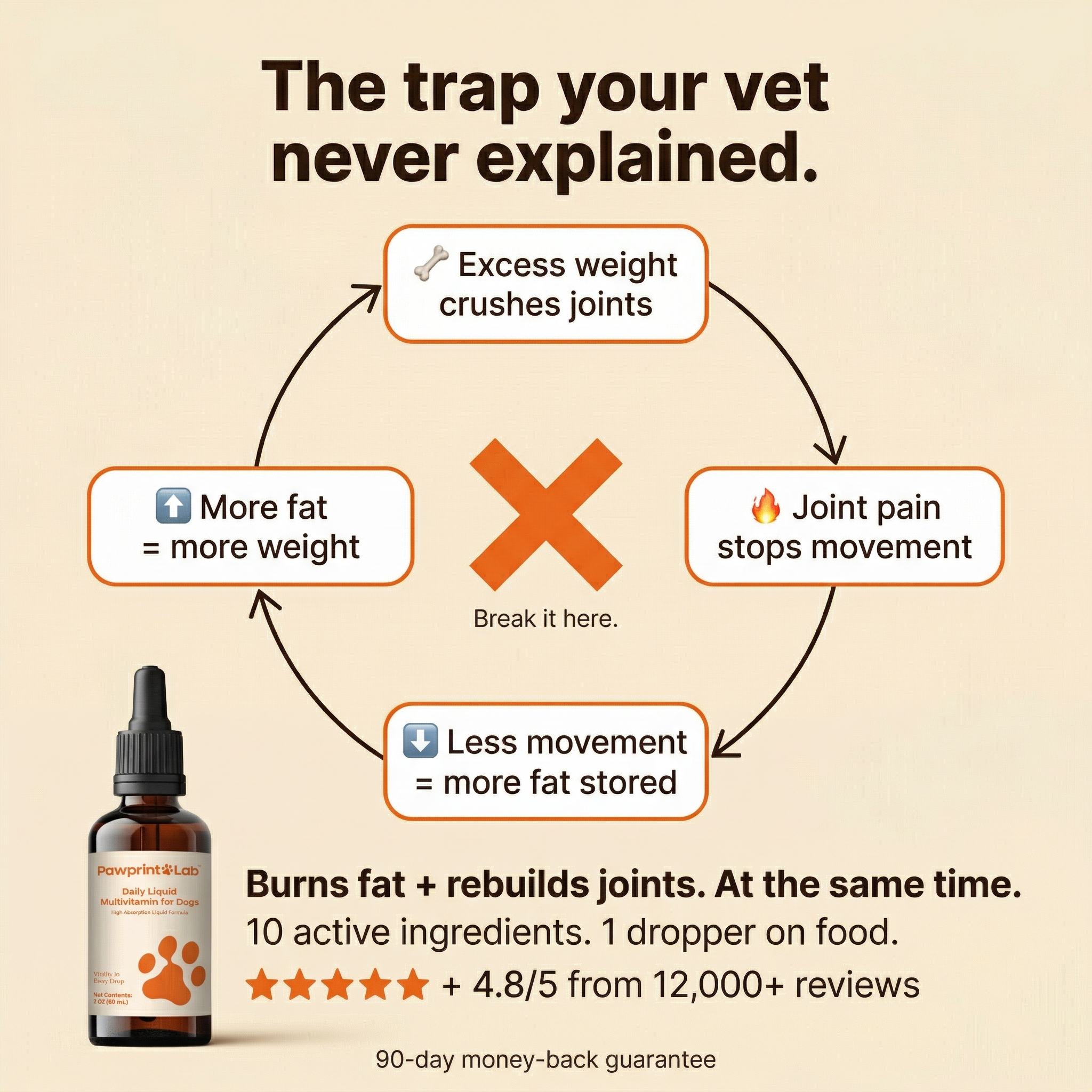 Vet-Approved Pet Products Facebook ad