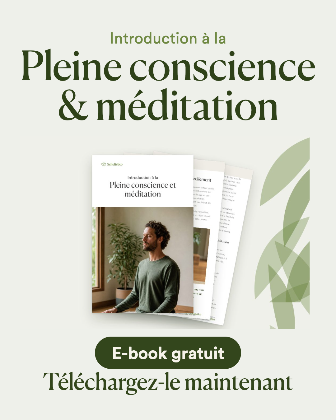 Scholistico en Français Facebook ad: [GRATUIT] Pleine conscience & méditation