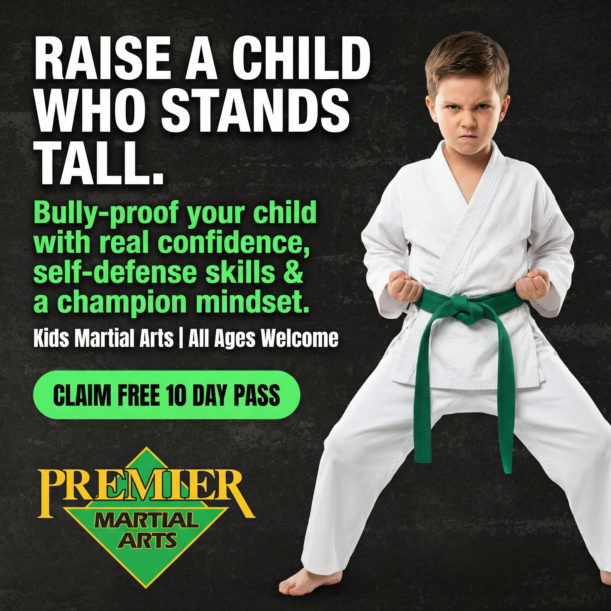 Premier Martial Arts, Glendale AZ Facebook ad: Want a FREE 10-Day, Kids Martial Arts Class Pass?