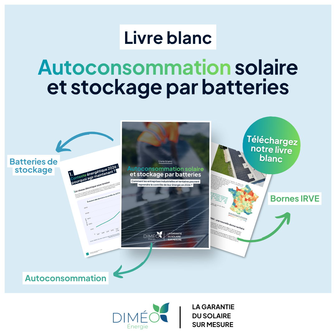 Diméo Energie Facebook ad: Téléchargez le livre blanc complet.