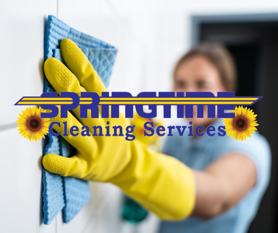 Springtime Cleaning Services Facebook ad: Need a clean start?