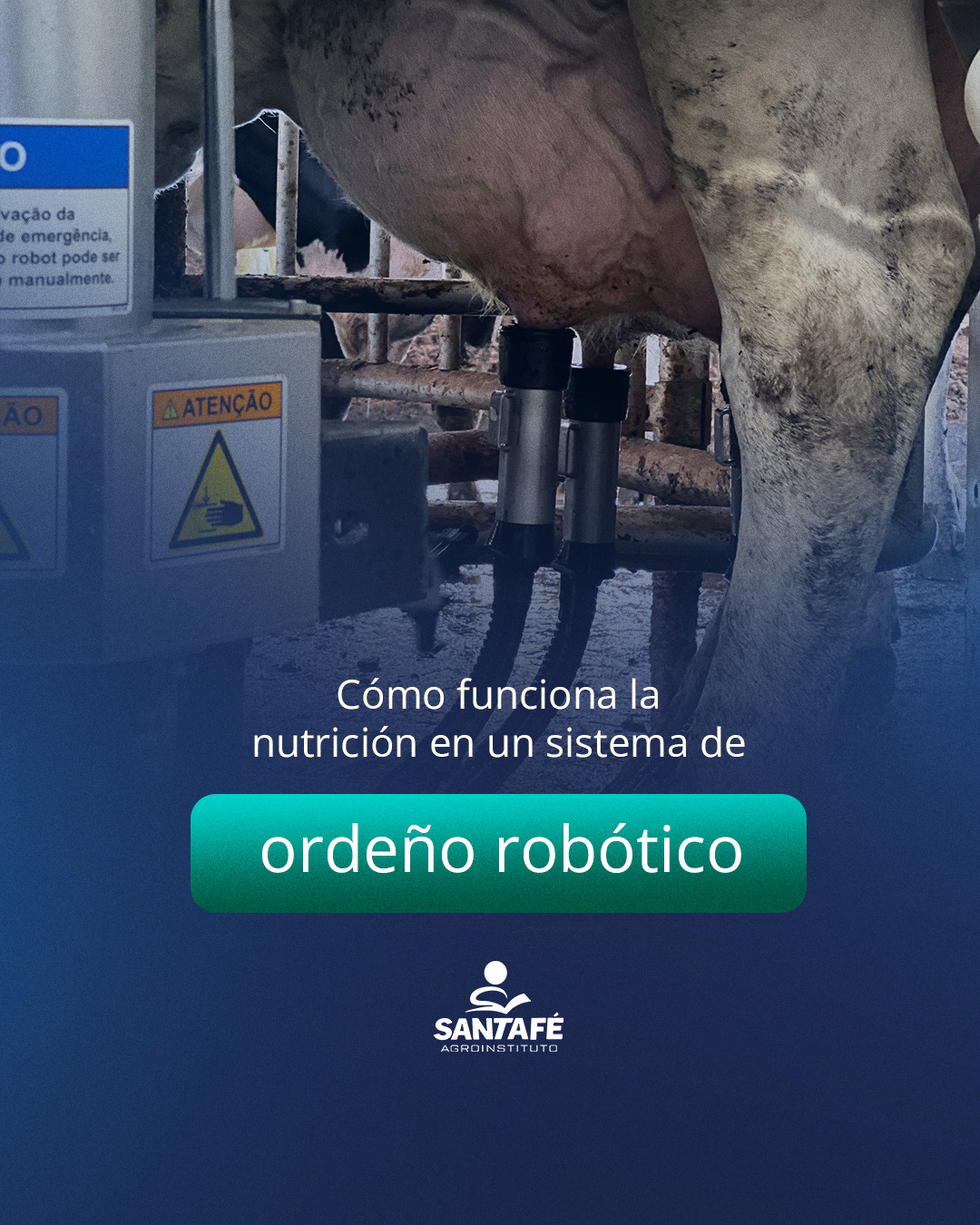 Santafé Agroinstituto Español - Bovinos Lecheros Facebook ad: La correcta nutrición del rebaño en el sistema…