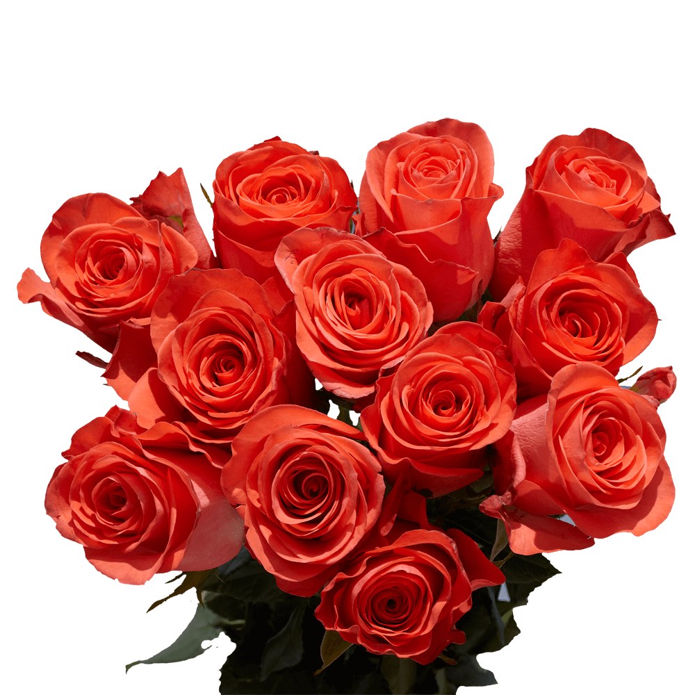 Global Rose Facebook ad: Mother's Day Flowers Early Bird Specials