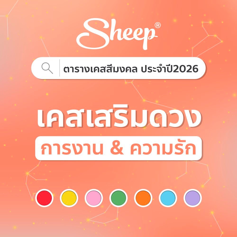 AppleSheep เคส ipadpro มีที่เก็บปากกา Facebook ad