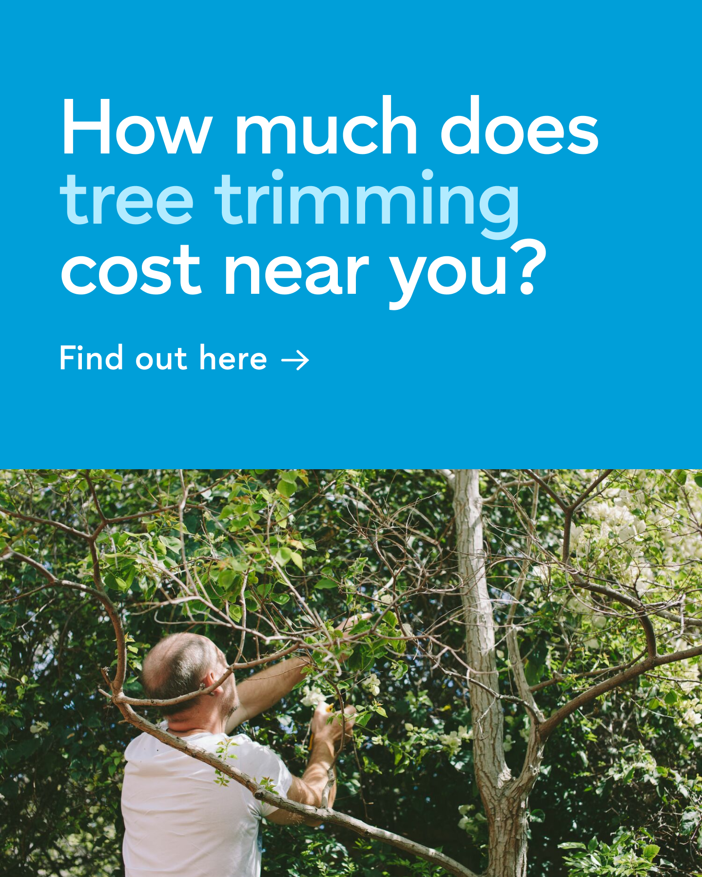 Thumbtack Facebook ad: Tree trimming cost guide.