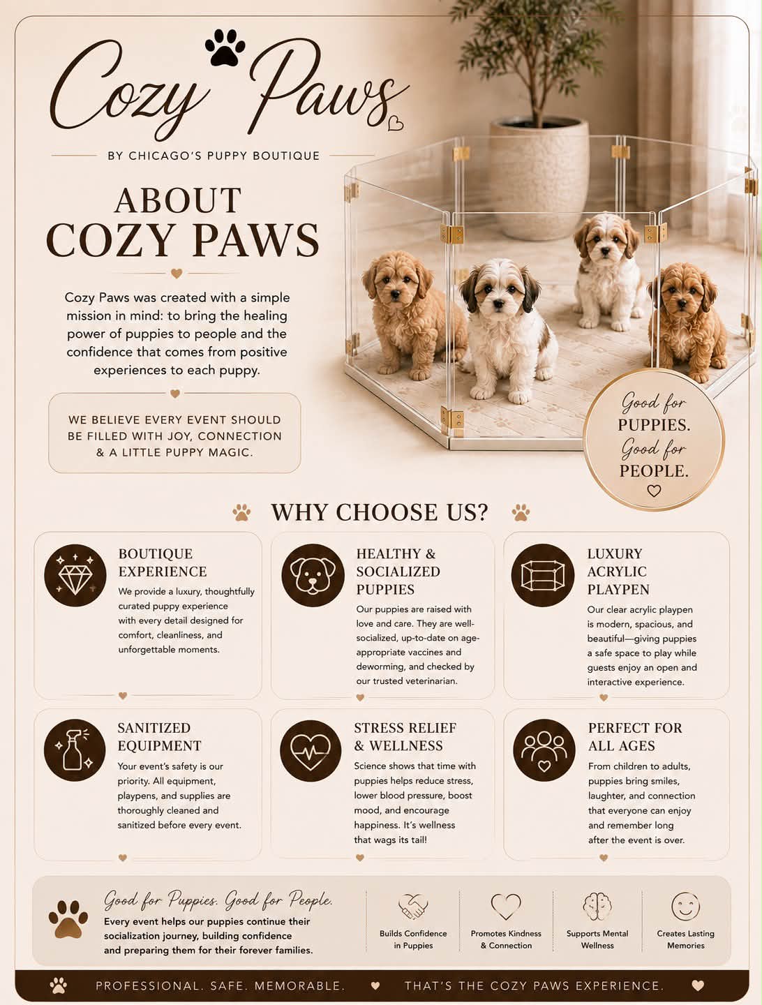 Chicago's Puppy Boutique Facebook ad: NEW! COZY PAWS HAS ARRIVED