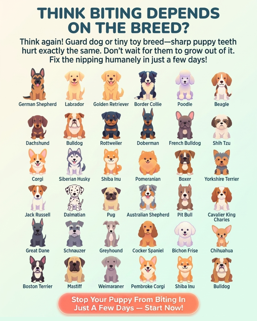 Ben Your Puppy Trainer Facebook ad