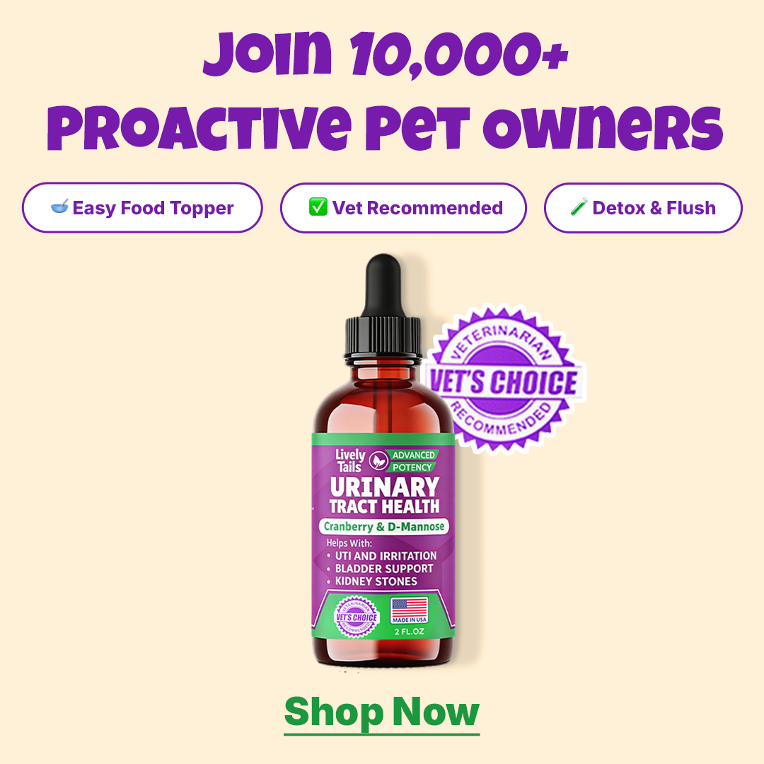 Lively Tails Facebook ad: Gentle Support for Your Dog’s Urinary & Kidney Health