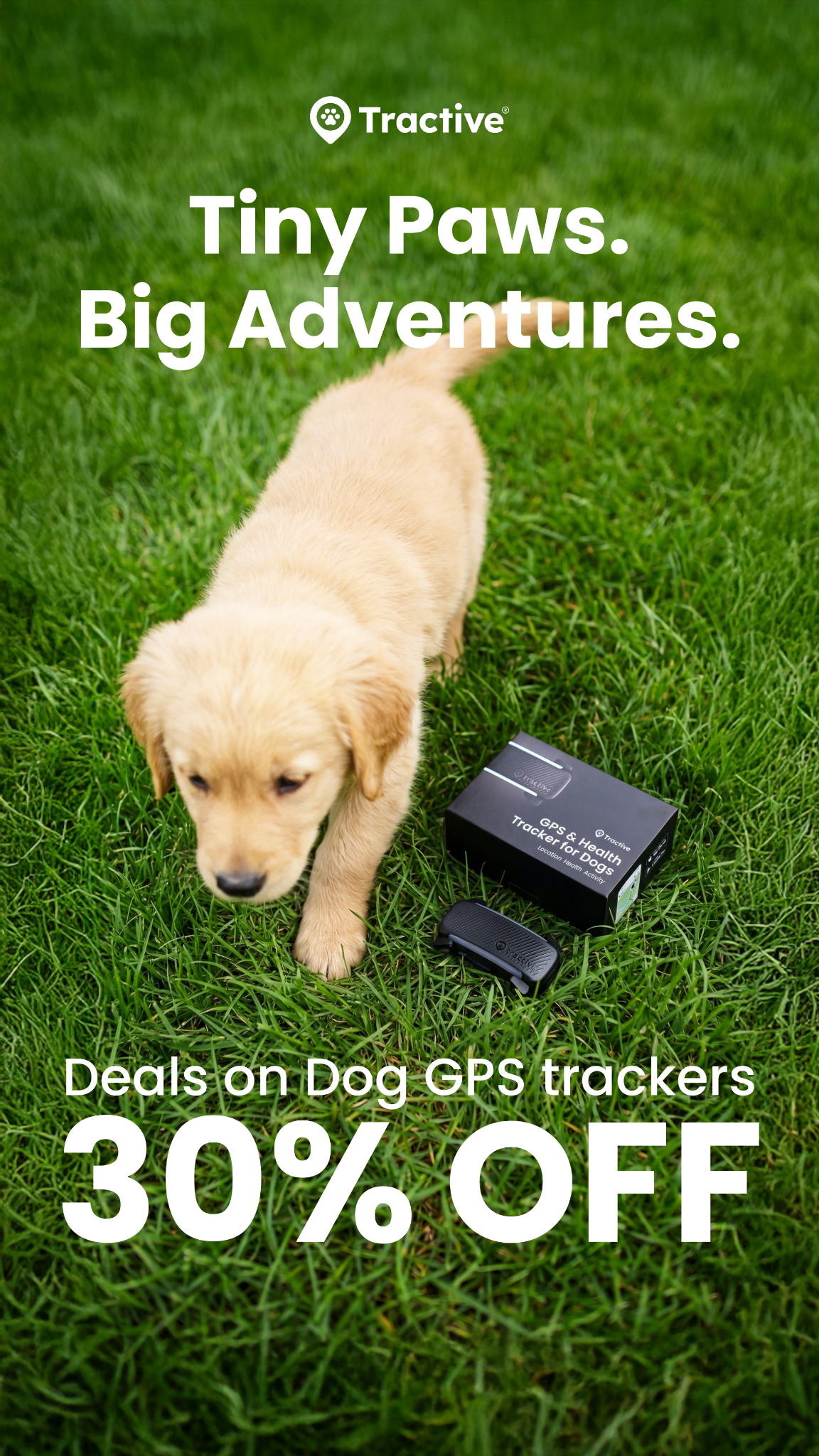 Tractive Facebook ad