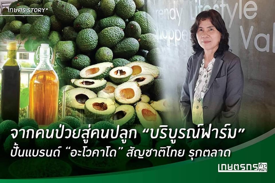 บริบูรณ์ฟาร์ม วังน้ำเขียว น้ำมันอะโวคาโดสกัดเย็น 100% Facebook ad: จนต้องเข้าโครงการเกษียณอายุราชการก่อนกำหนด…