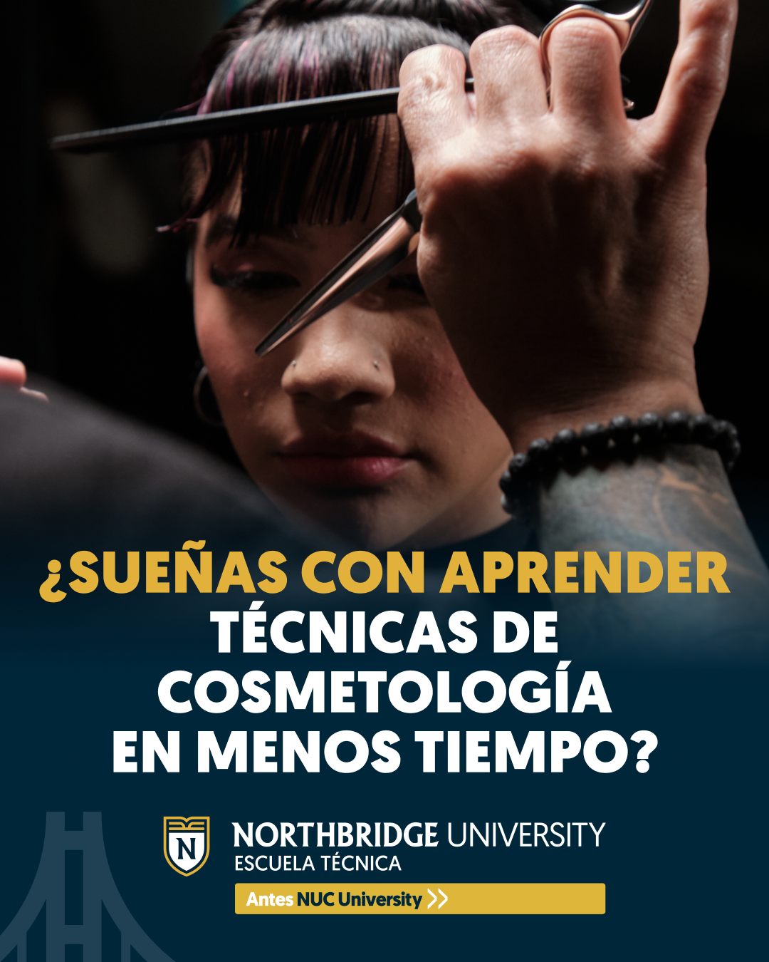 Northbridge University - Escuela Técnica Facebook ad