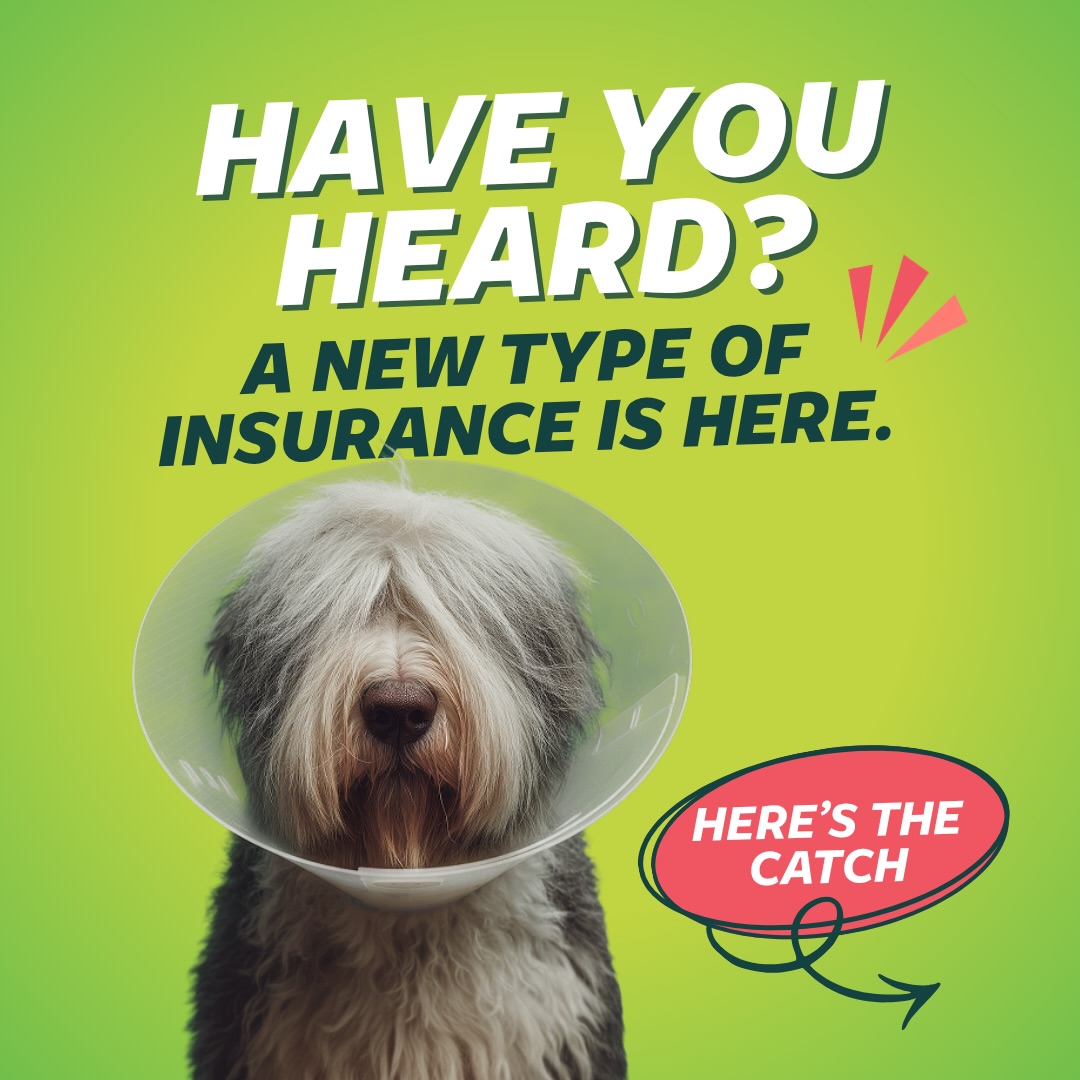Ruff n Tumble Pet Insurance Facebook ad