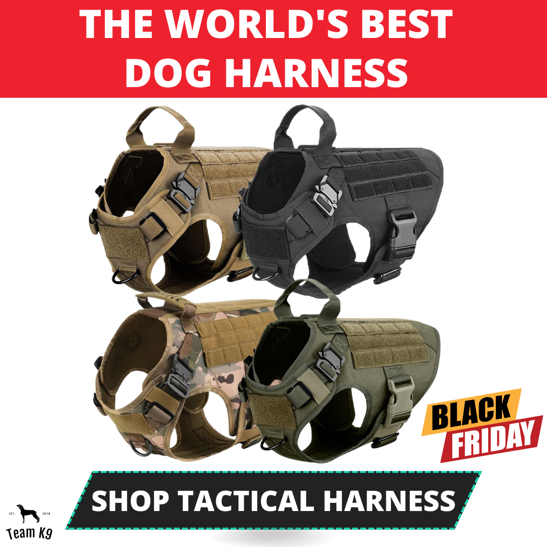 Team K9 Facebook ad
