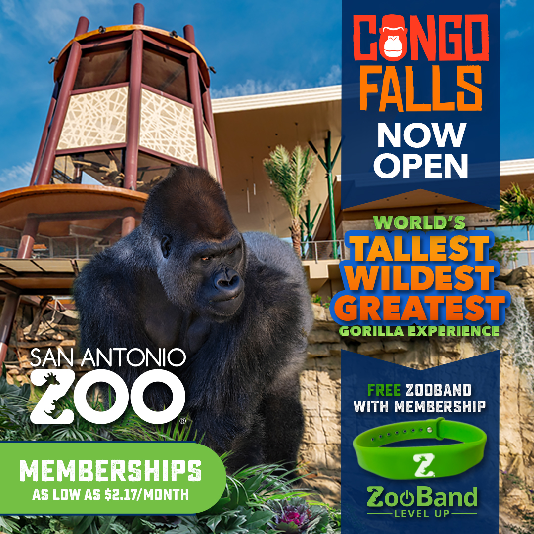 San Antonio Zoo Facebook ad