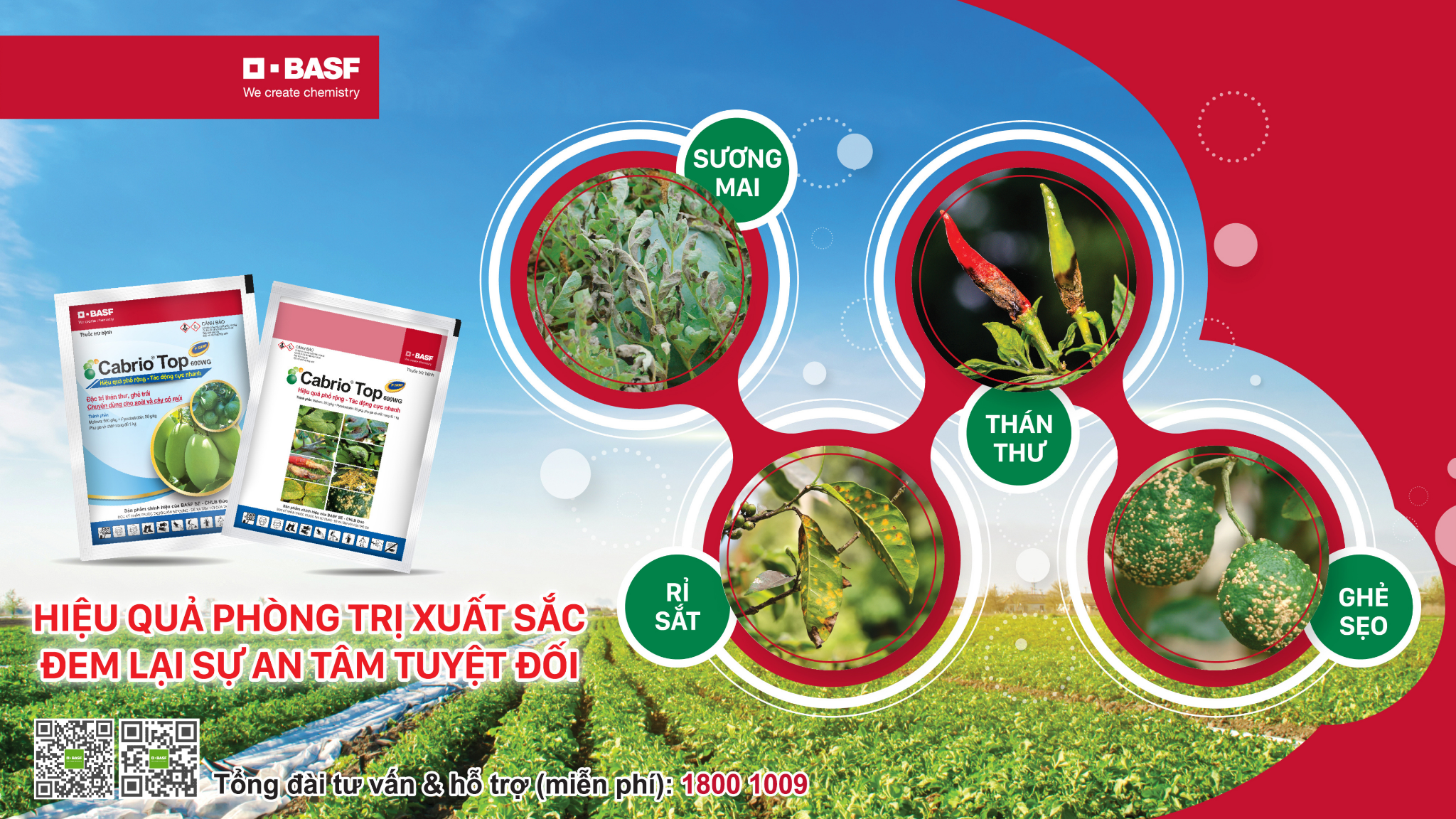 BASF Ngành Bảo Vệ Thực Vật Facebook ad: Cabrio Top 600WG #Bay sương mai, sạch thán thư. Rau xanh…