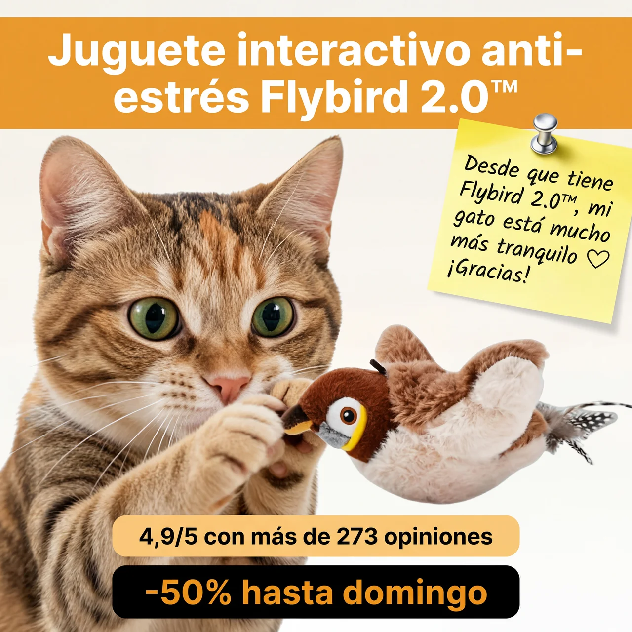 Pawlet Facebook ad