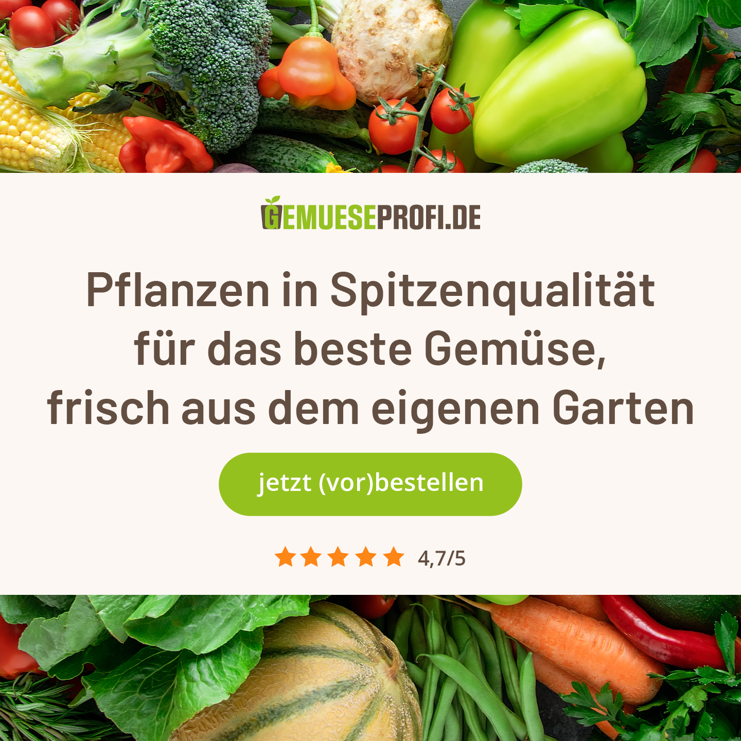 Gemüseprofi GmbH Facebook ad from Mar 9, 2026