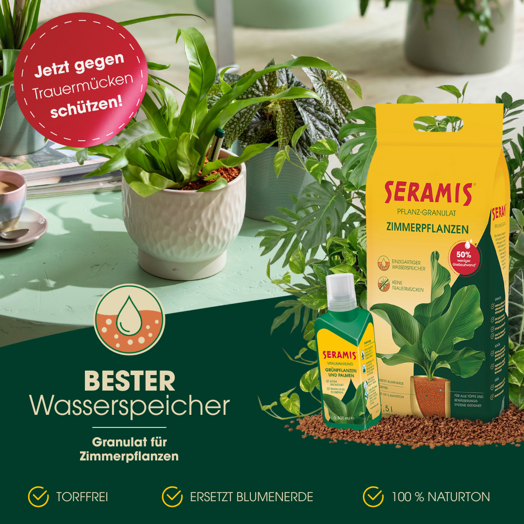 SERAMIS Facebook ad: Schluss mit Gießstress: Hol dir jetzt den besten…