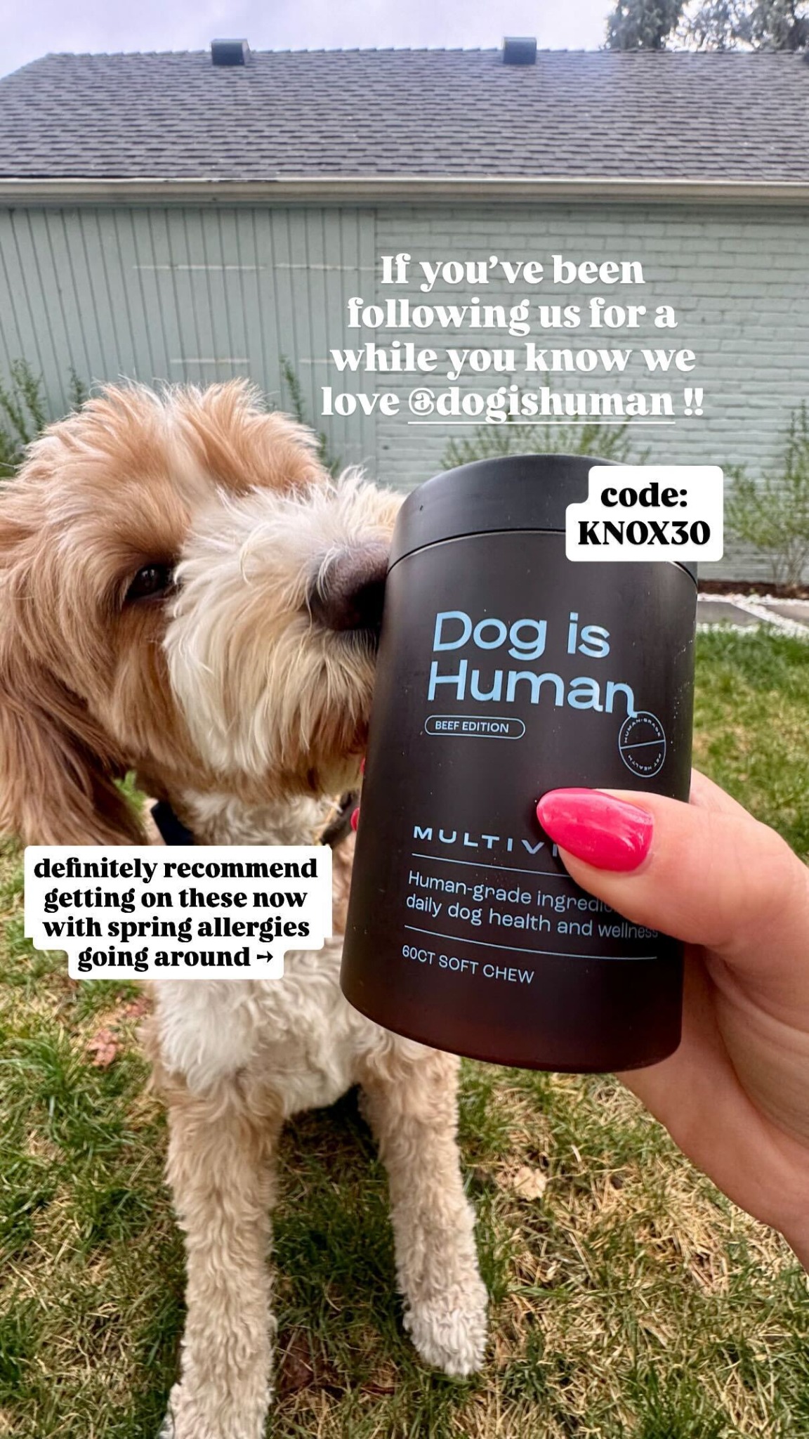 That Dood Knox Facebook ad: Daily Dog Multivitamin, Real Results