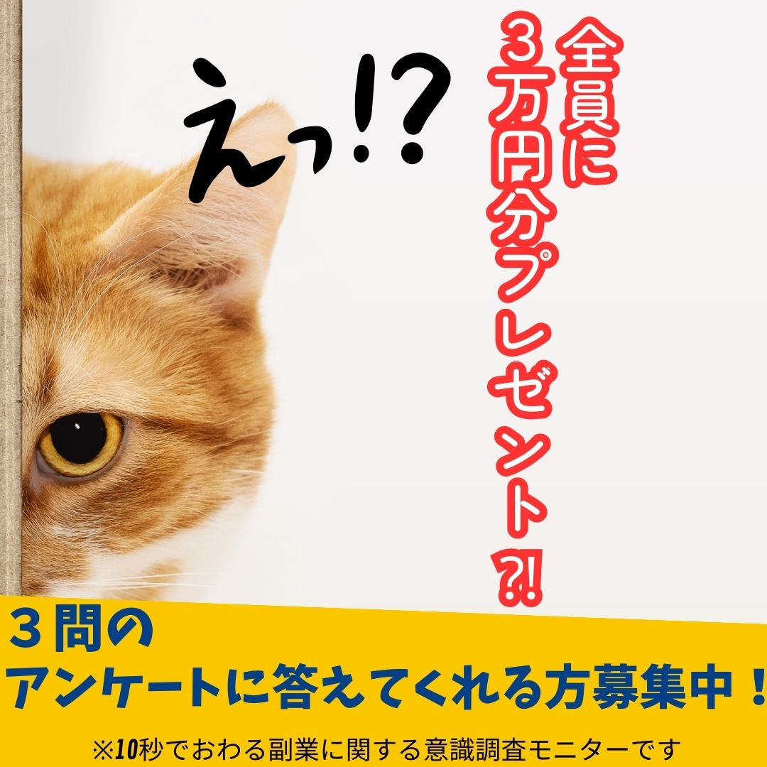 最強マネタイズ Facebook ad