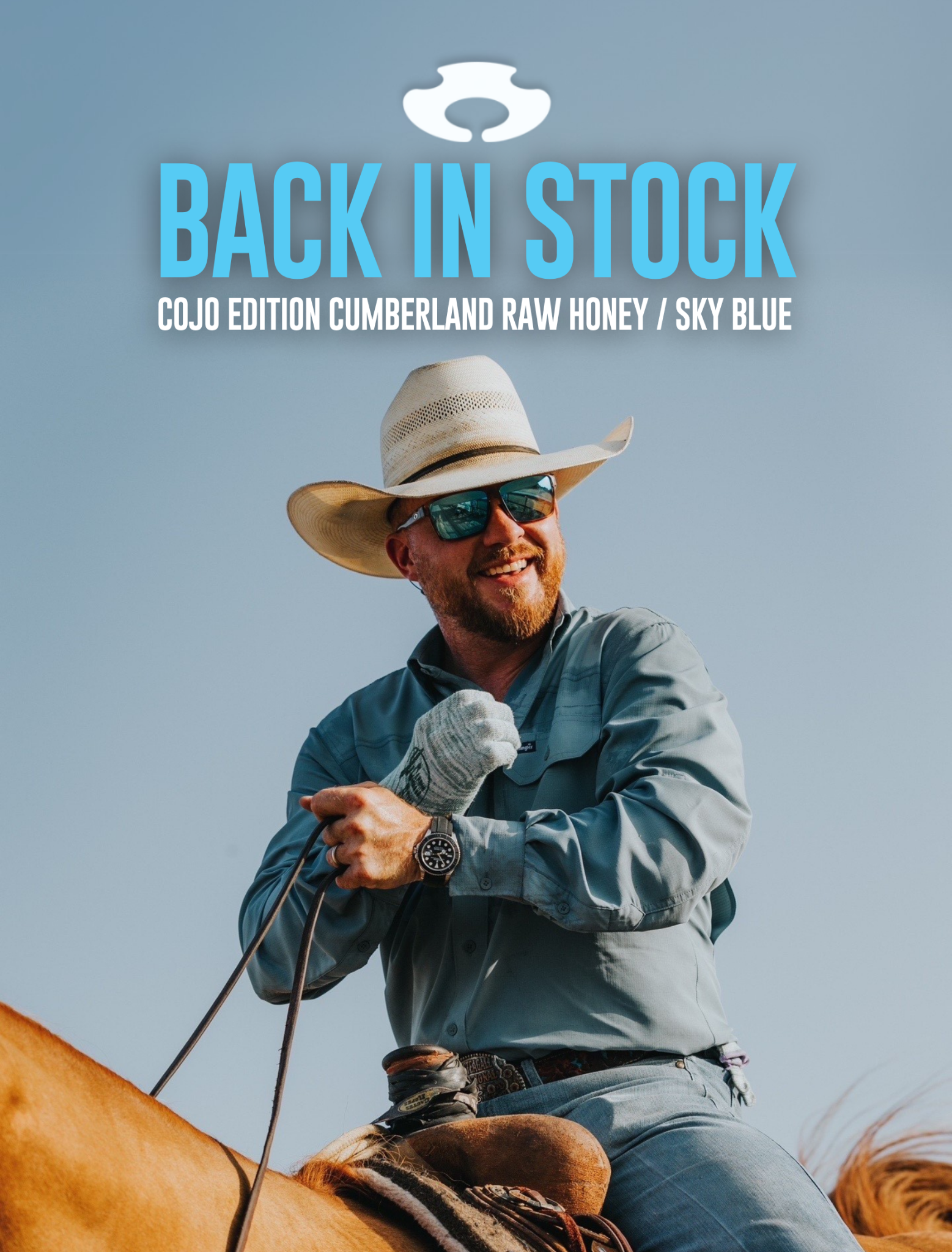 Blue Otter Polarized Facebook ad