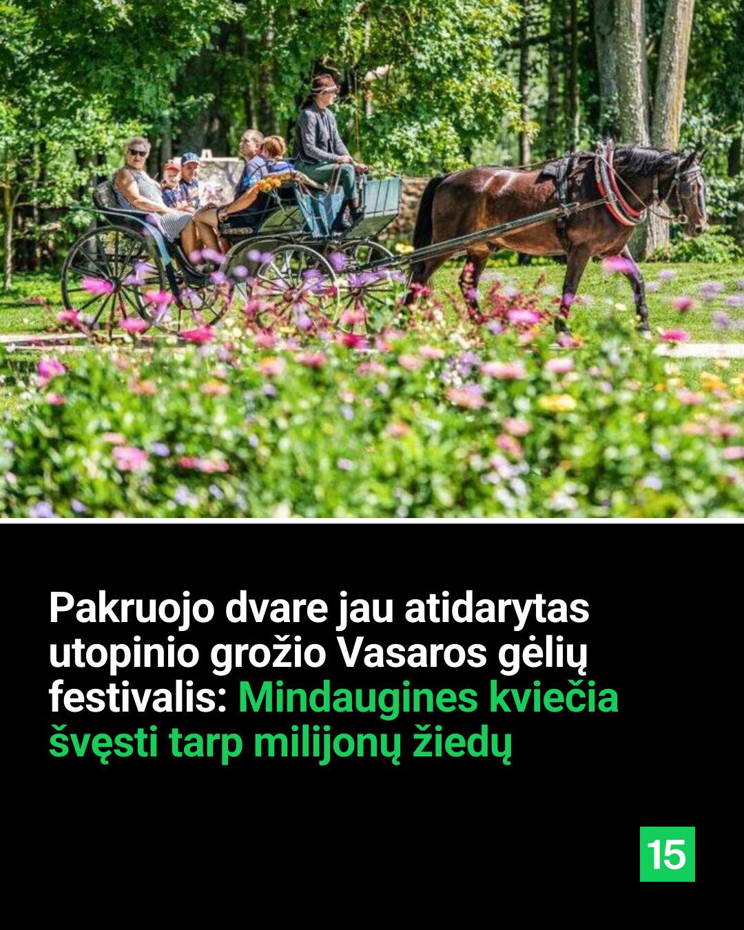 15min Facebook ad