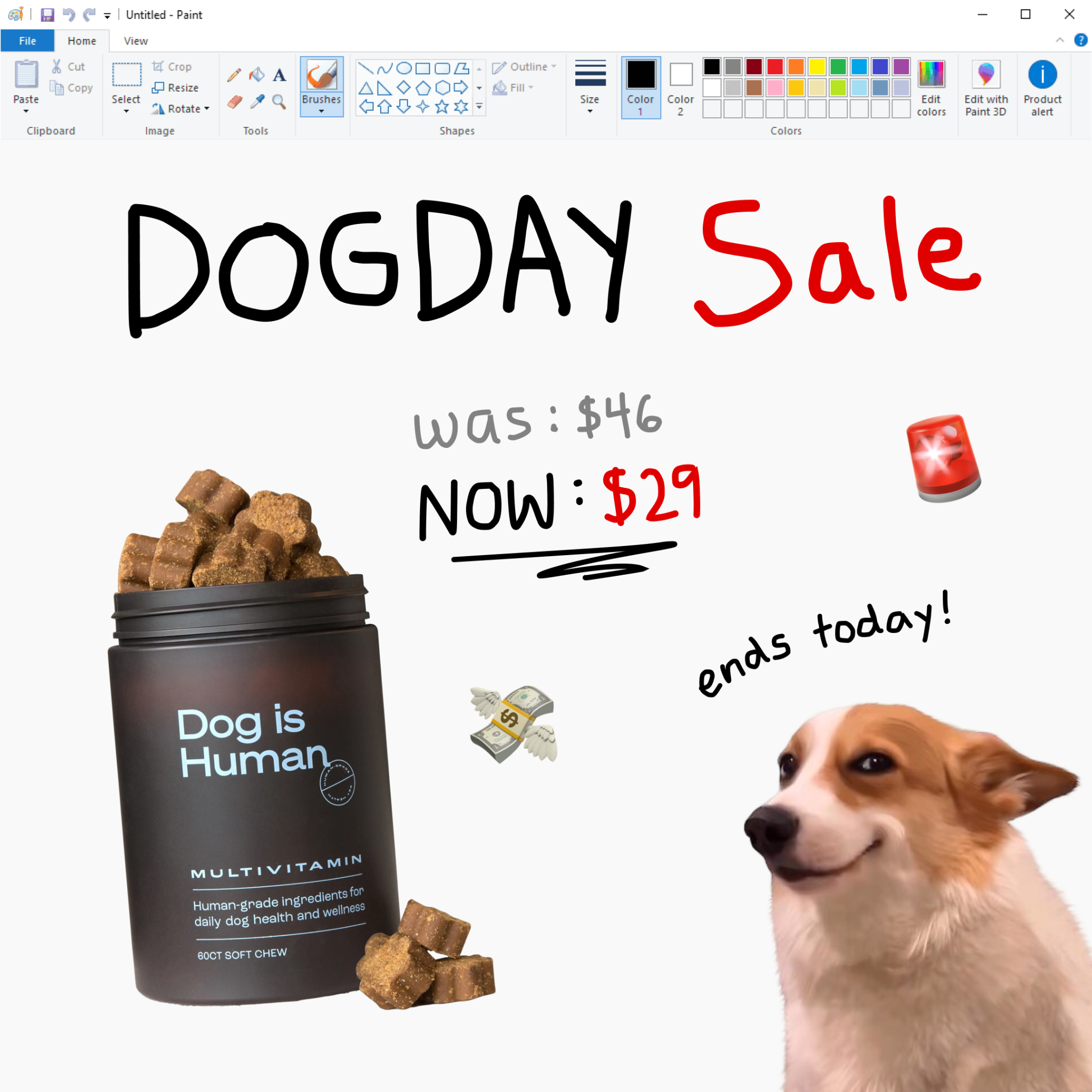 Dog is Human Facebook ad