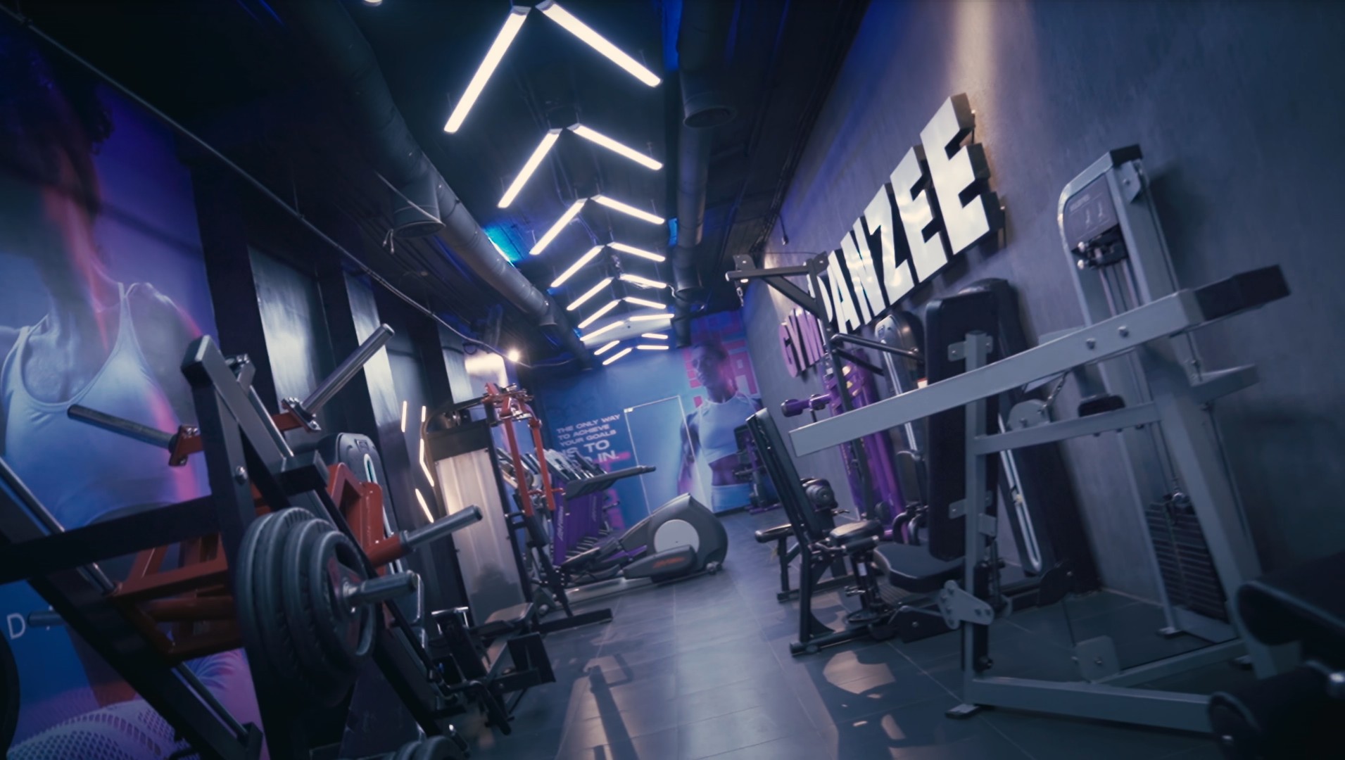 Gympanzee Elite Shubra Facebook ad: Gympanzee ladies only