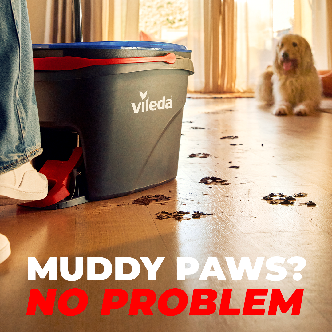 Vileda Canada Facebook ad: Get a RinseClean Spin Mop