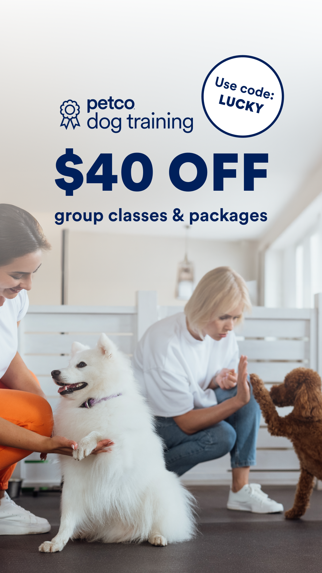Petco Facebook ad