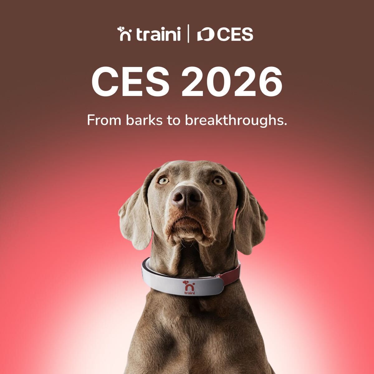 Traini- Dog training & Petgpt Facebook ad from Feb 25, 2026