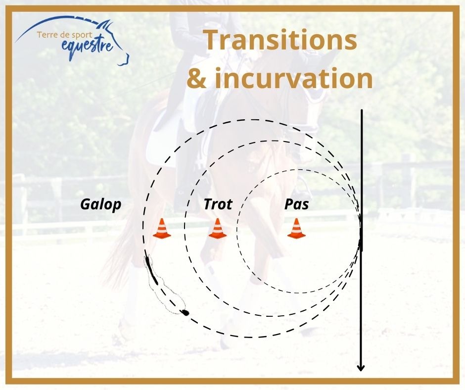 Terre de Sport Equestre Facebook ad