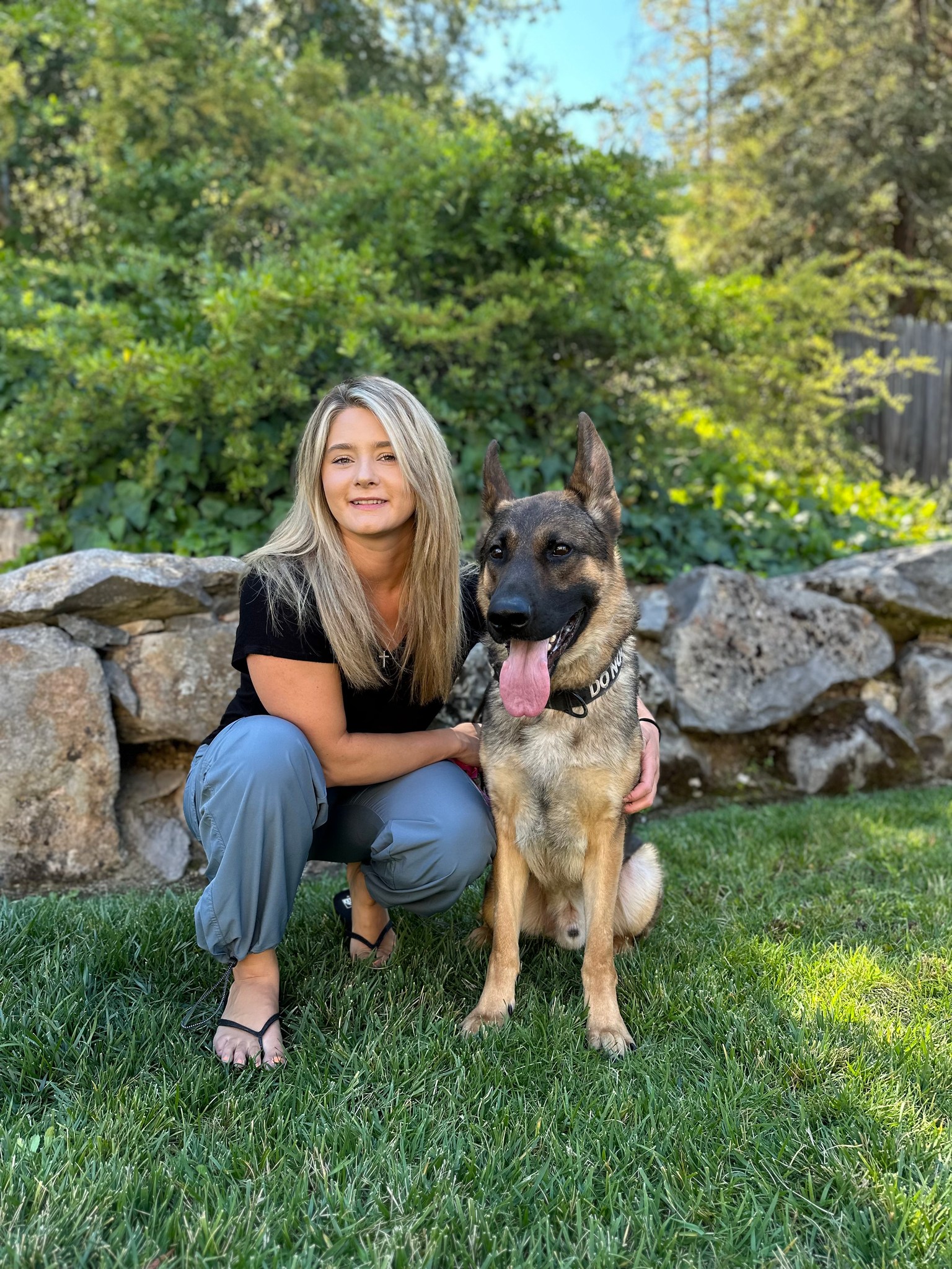 Hell Hound Training Facebook ad: Hello Wine Country dog owners!