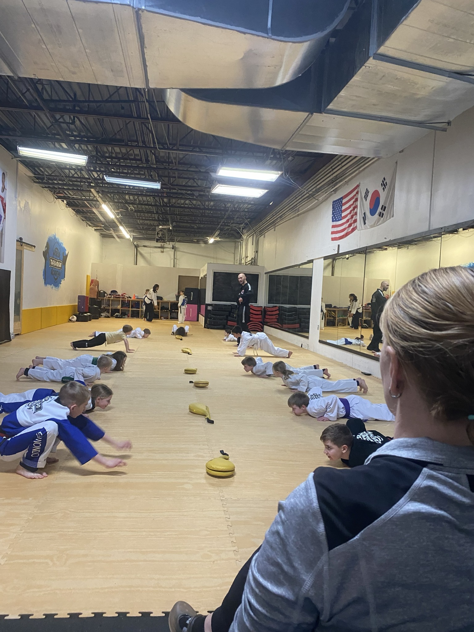 World Taekwondo Academy - Delano Facebook ad