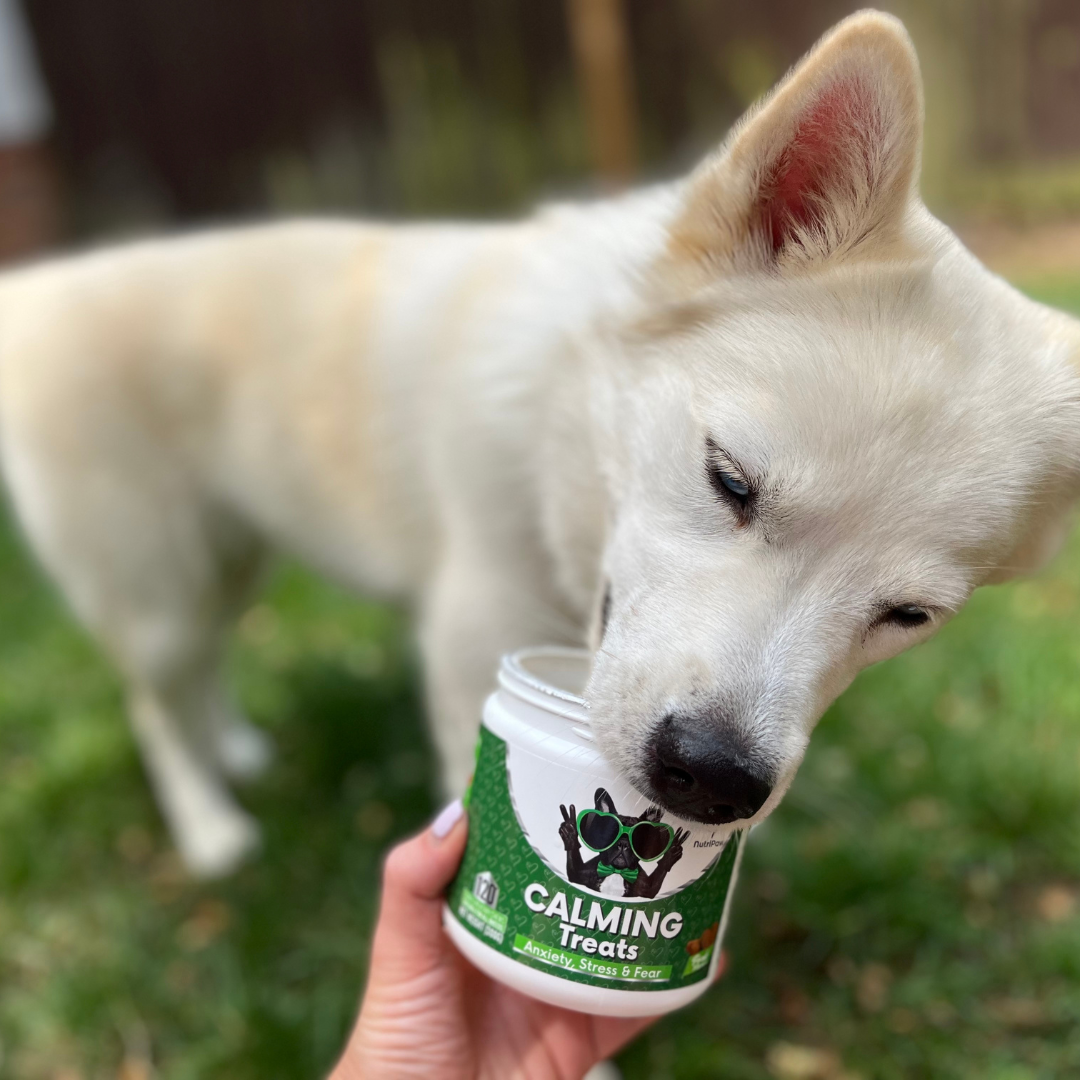 Nutri Paw Facebook ad