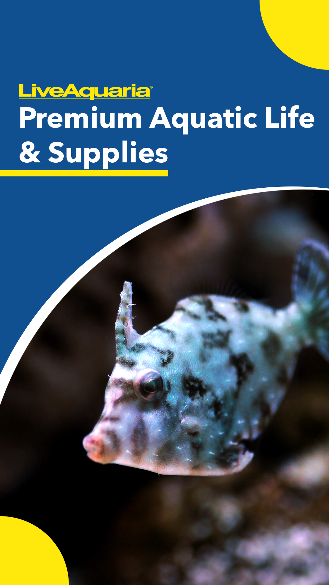 LiveAquaria.com Facebook ad