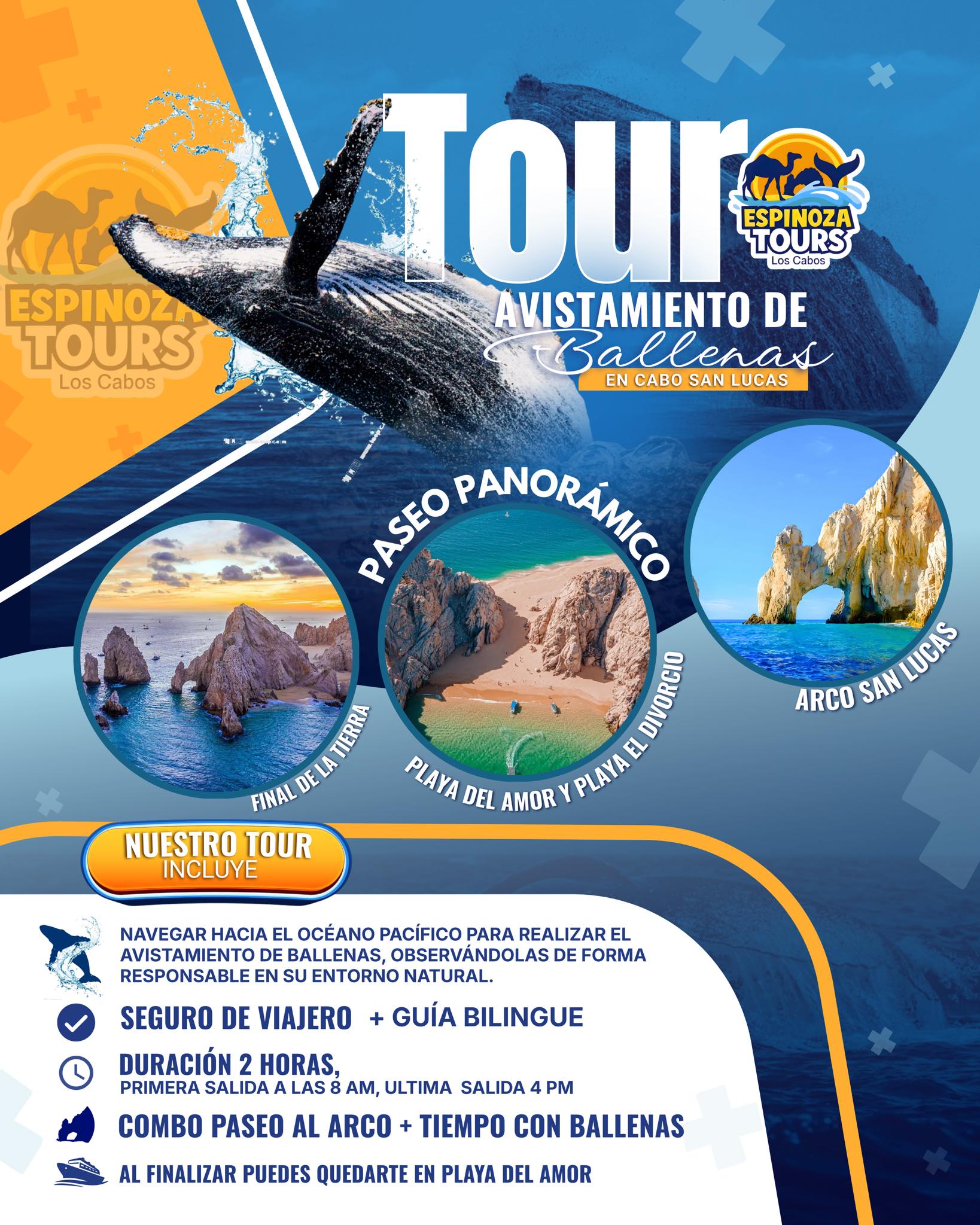 Espinoza TOURS los CABOS Facebook ad: Paseo al arco y camellos