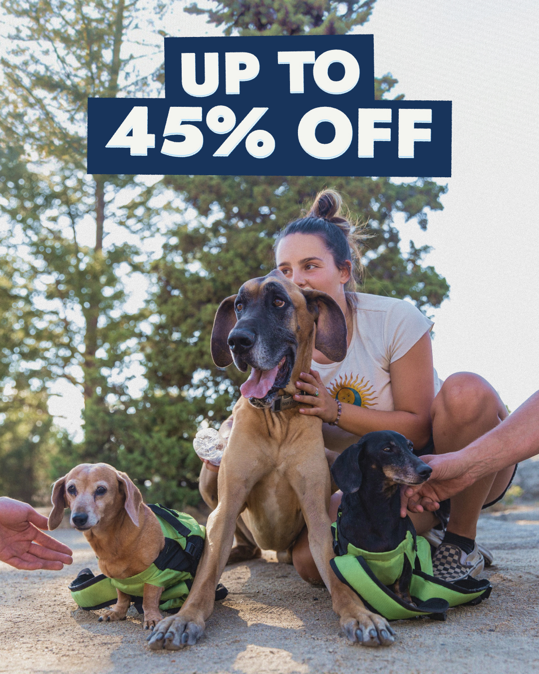 K9 Sport Sack Facebook ad: Fully functional. Nicely discounted.