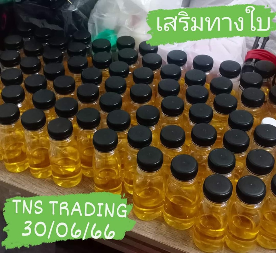 TNS Trading2 Facebook ad
