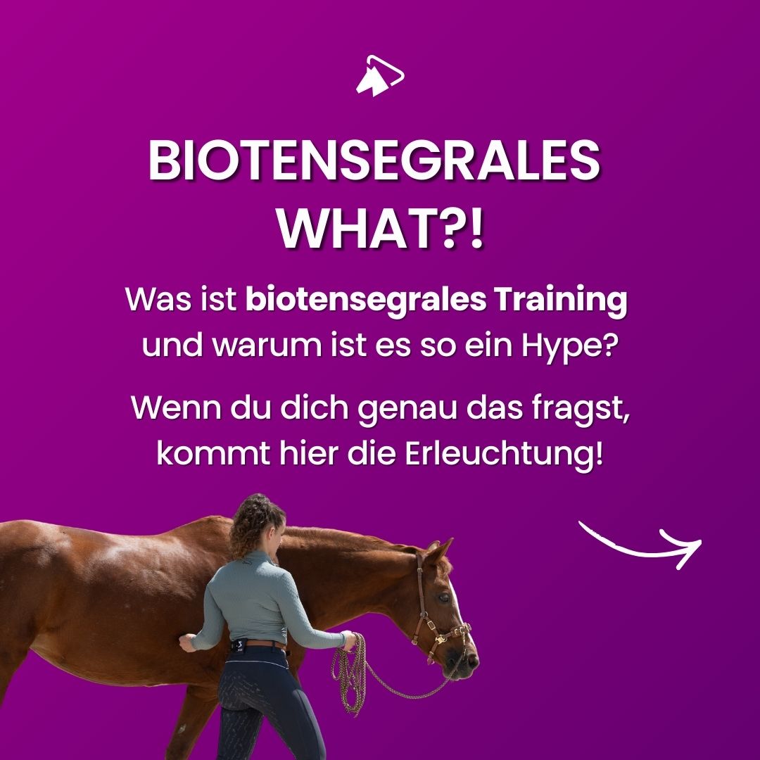 wehorse Facebook ad: Dein Pferd läuft auf der Vorhand?