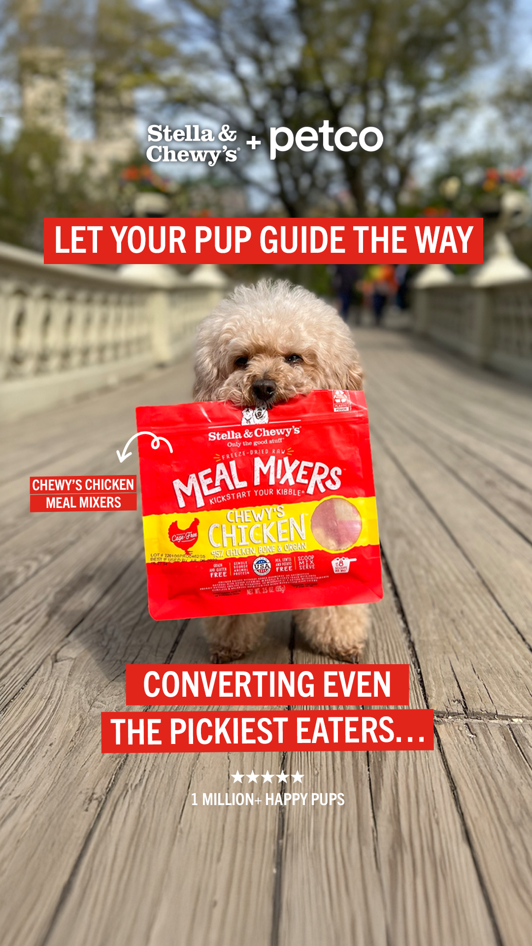 Stella & Chewy's Facebook ad