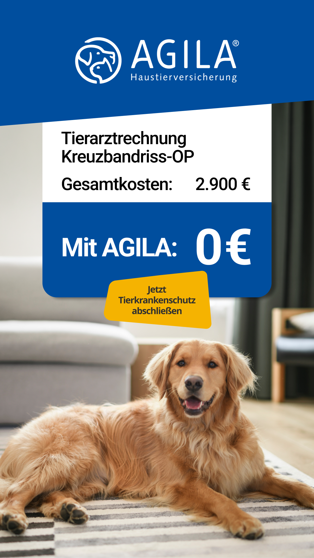 AGILA Haustierversicherung Facebook ad: AGILA Hundeversicherung