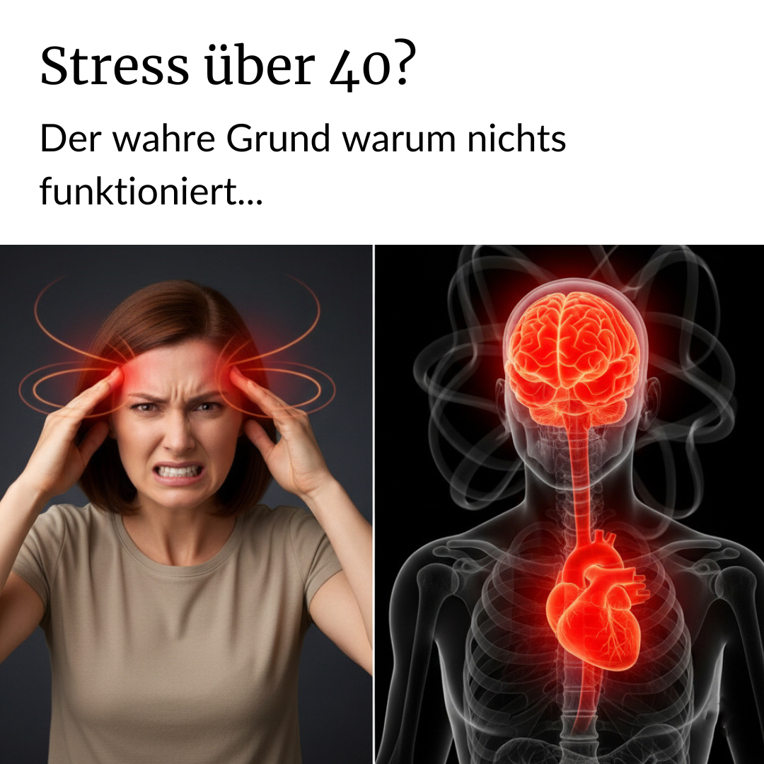 Magazin-Gesundheit Facebook ad