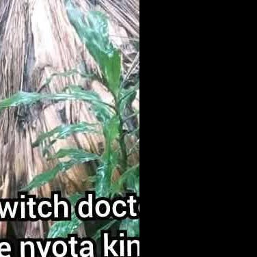 Daktari Mzee nyota kingo+254707462527 Facebook ad: Mzee Kingo