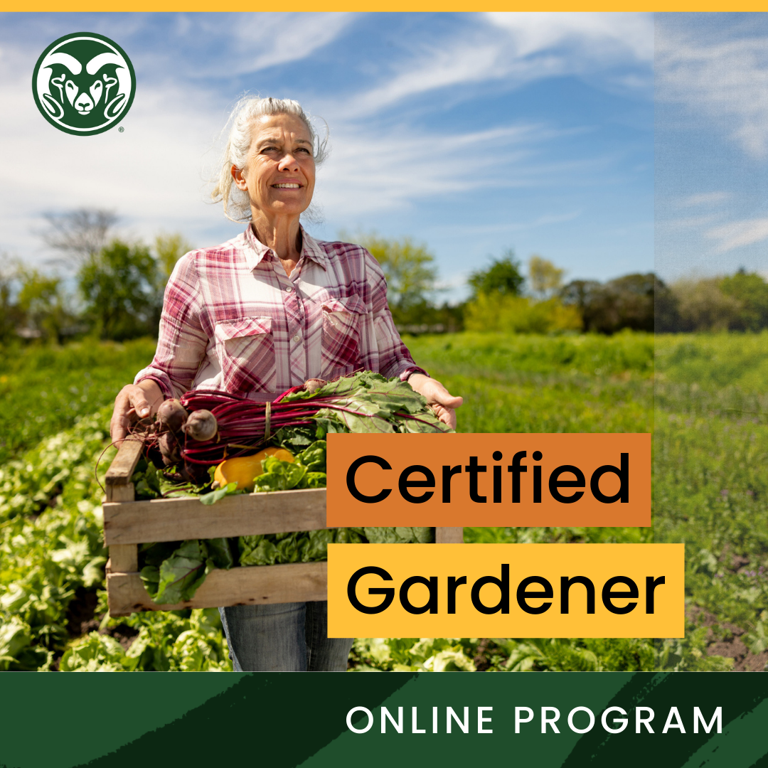 CSU Extension Facebook ad from Jul 10, 2025