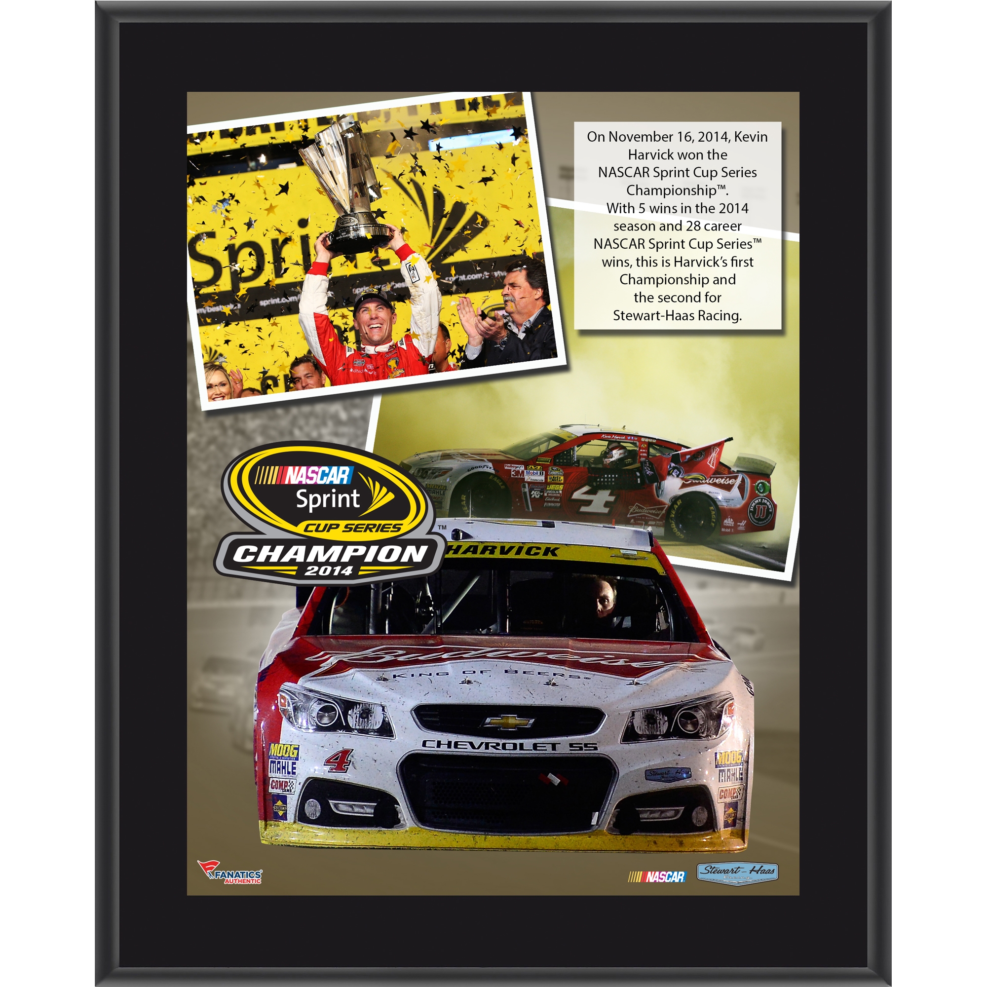 NASCAR.com Superstore Facebook ad: Show off your undeniable NASCAR fandom!