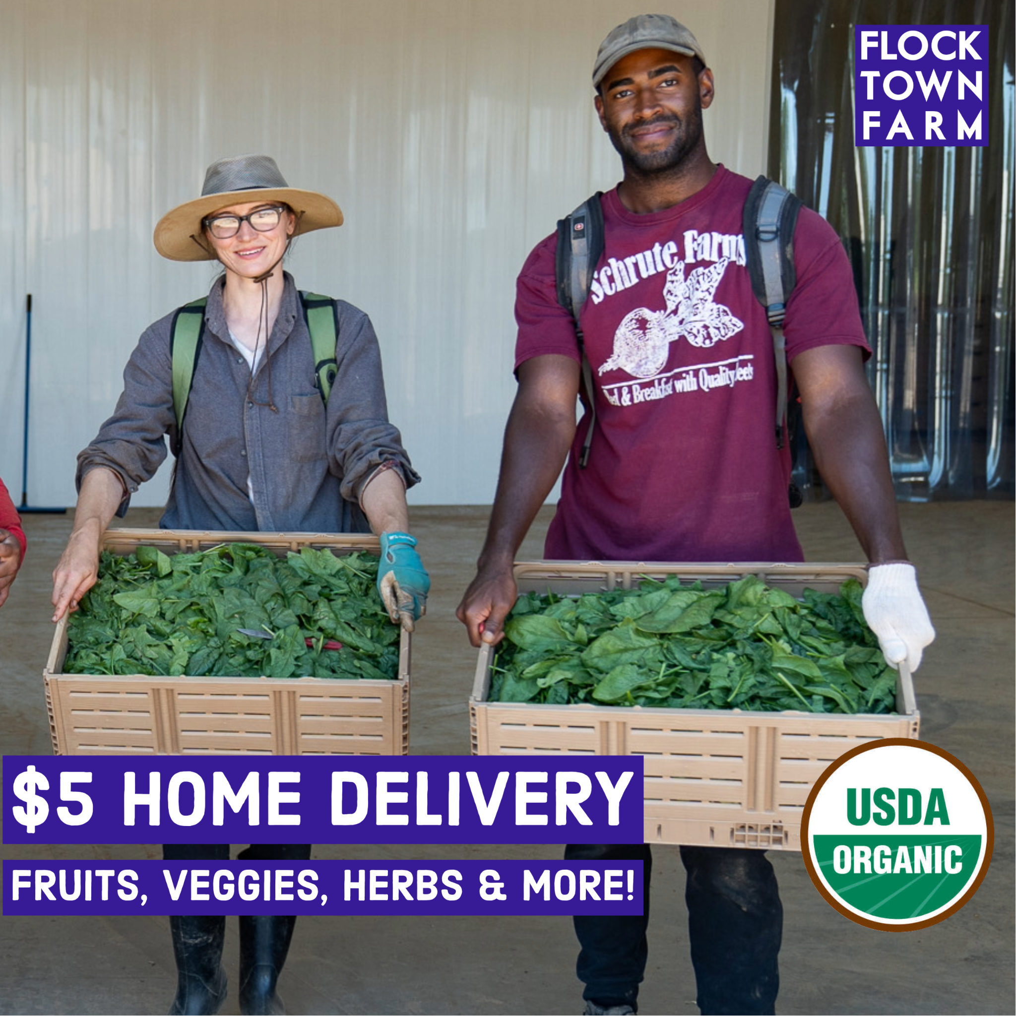 Flocktown Farm Facebook ad: CSA Home Delivery
