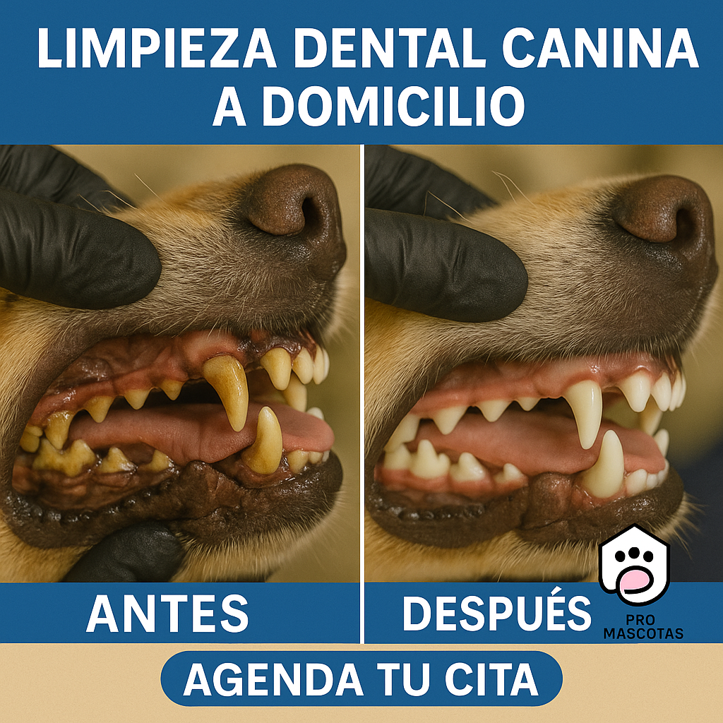 Pro Mascotas Facebook ad: Agenda tu cita ¡HOY!