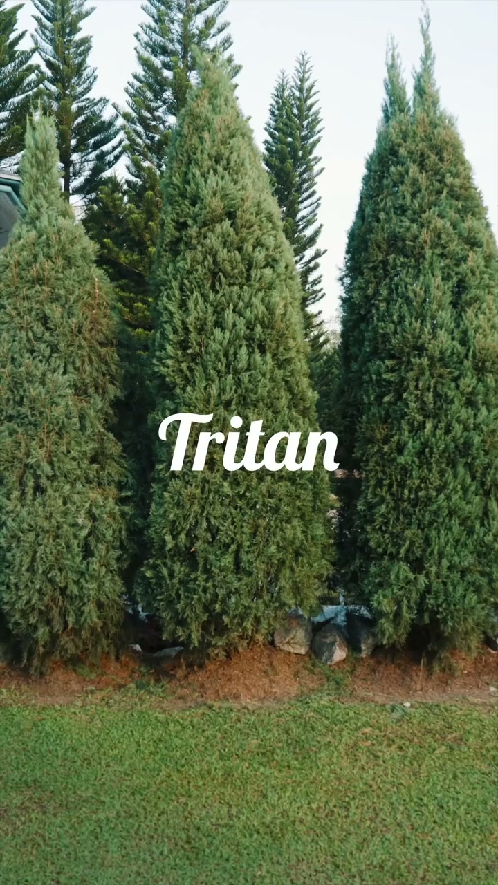 Tritan Clothing Facebook ad: Finding your everyday favourite just got easier.