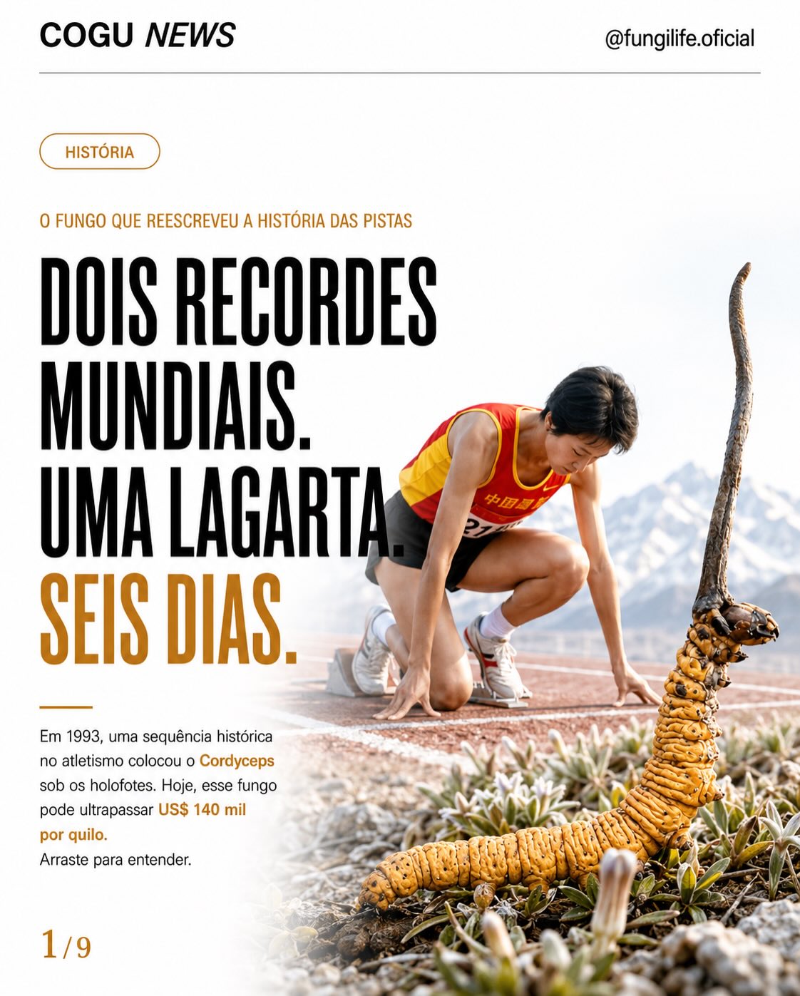 Fungi Life Superalimentos Facebook ad